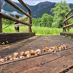 Apartman Gaestehaus Seewinkel Presseggersee