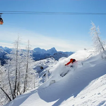 Gaestehaus Seewinkel بريسيغ