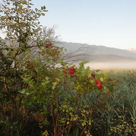 Appartement Gaestehaus Seewinkel *