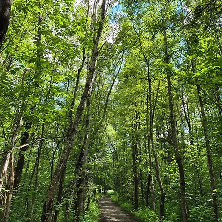 Gaestehaus Seewinkel