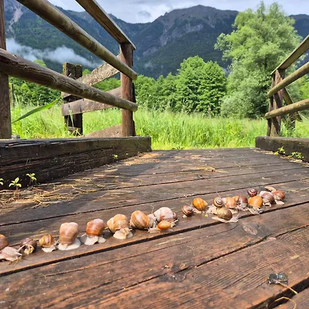Lägenhet Gaestehaus Seewinkel Presseggersee